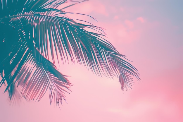 palmeiras no fundo do céu rosa no pôr-do-sol