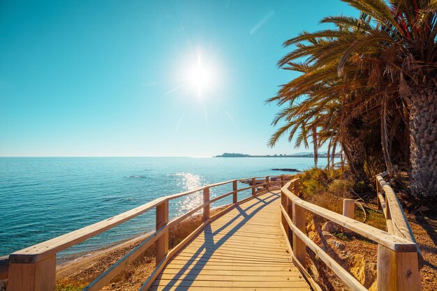 Palmen am Strand Wendelnde Promenade zum Strand Mazarron Murcia Spanien