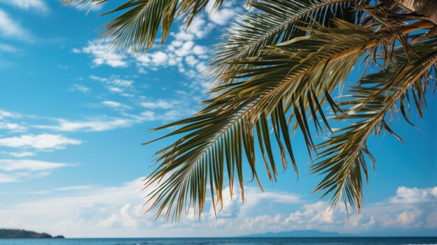 Palmen am tropischen Strand mit blauem Himmel und weißen Wolken Schöner Sonnenuntergang am Strand