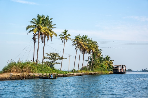 Palmen auf den Backwaters von Kerala, Indien