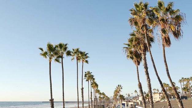Palmen in Los Angeles, Kalifornien, USA. Sommerzeit Santa Monica und Venice Beach. Himmel und Palmen.