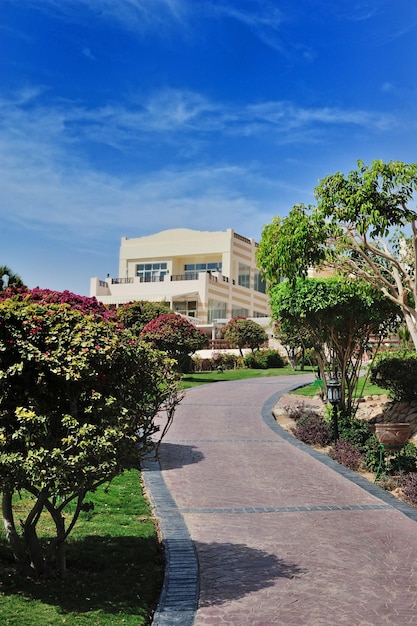 Palmen und Bungalow im Hotel in Hurghada, Ägypten