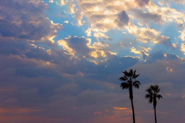 Palmen und bunter Himmel mit wunderschönem Sonnenuntergang