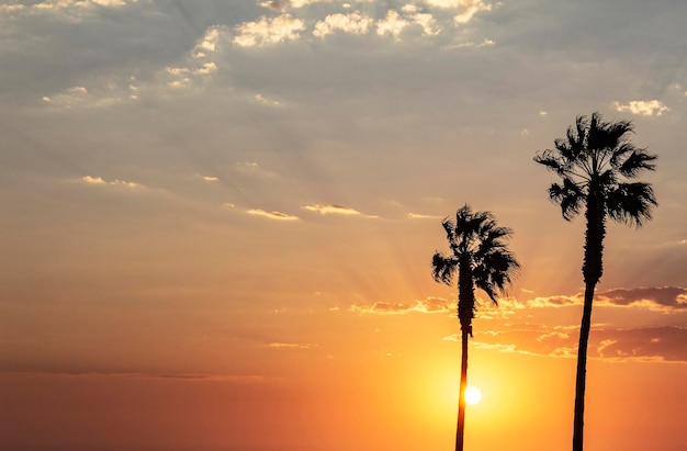 Palmen und bunter Himmel mit wunderschönem Sonnenuntergang