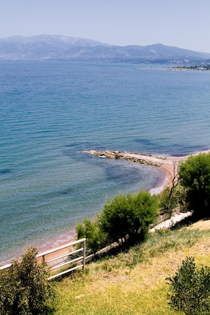 Palmen und grünes Gras auf einem Hintergrund von Meer und Bergen