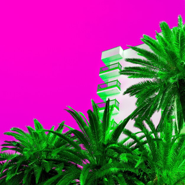 Palmen und Hotel. Kunst minimales Farbdesign