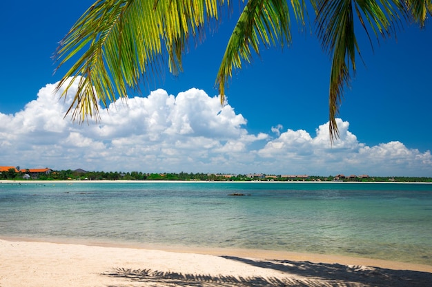 Palmen und tropischer Strand