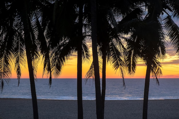 Palmen während eines roten Sonnenuntergangs am Strand für einen Hintergrund mit Platz für Text