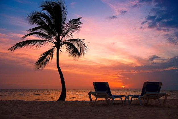 Palmenschattenbild am tropischen Strand des Sonnenuntergangs. Orangefarbener Sonnenuntergang.