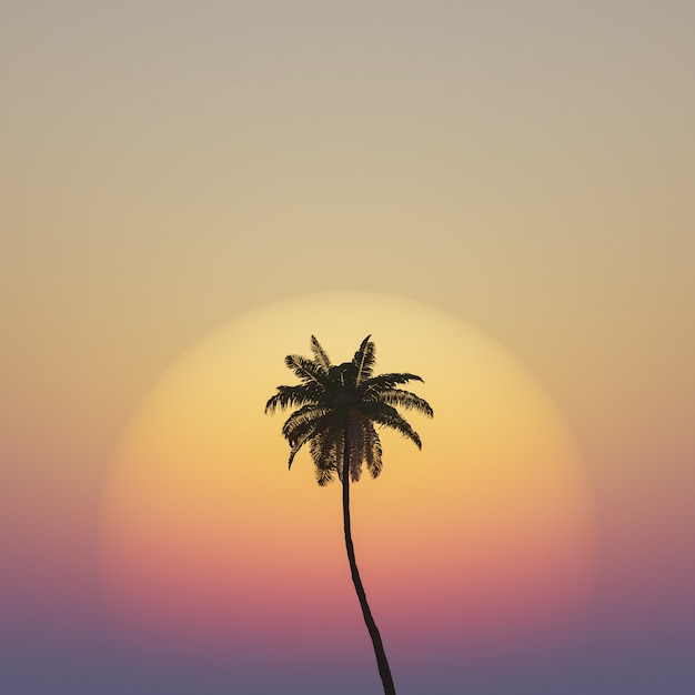 palmera con cálida puesta de sol