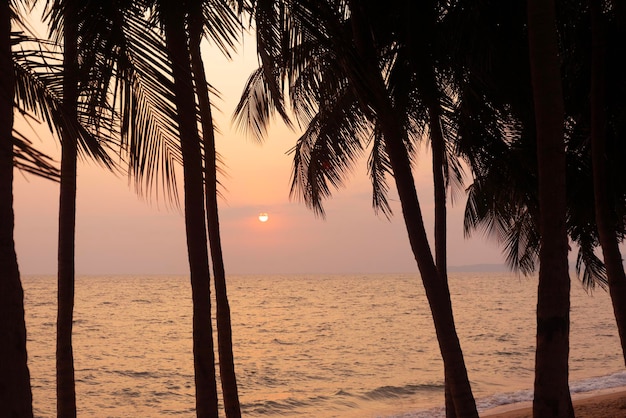 Palmera de coco de silueta en el fondo del cielo del mar y la puesta del sol