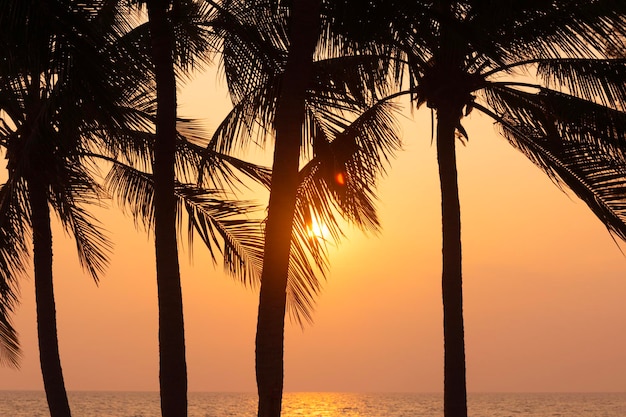 Palmera de coco de silueta en el fondo del cielo del mar y la puesta del sol