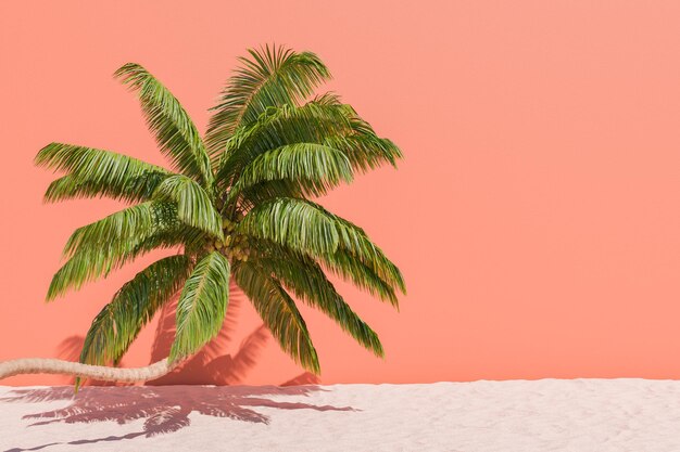 Palmera contra una pared de color sólido Con fondo de arena