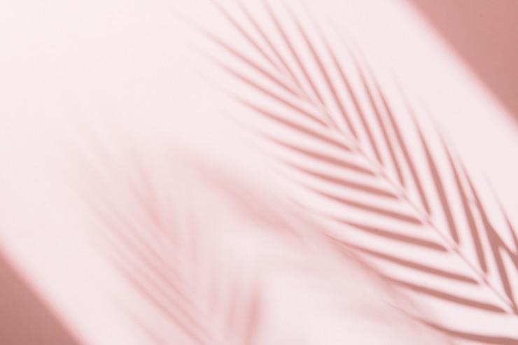 palmera deja sombras sobre fondo rosa