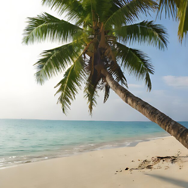 una palmera está en la playa y el océano está en el fondo