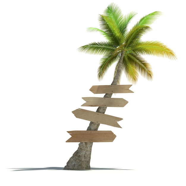 Palmera con letreros adheridos al tronco en una superficie neutra