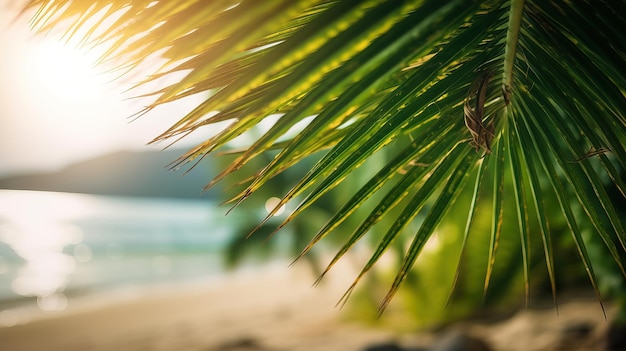 Una palmera en una playa con el sol brillando sobre ella