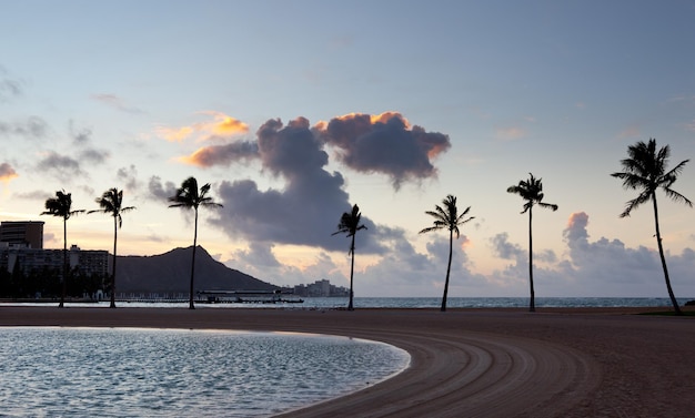 Palmeras al amanecer en Waikiki