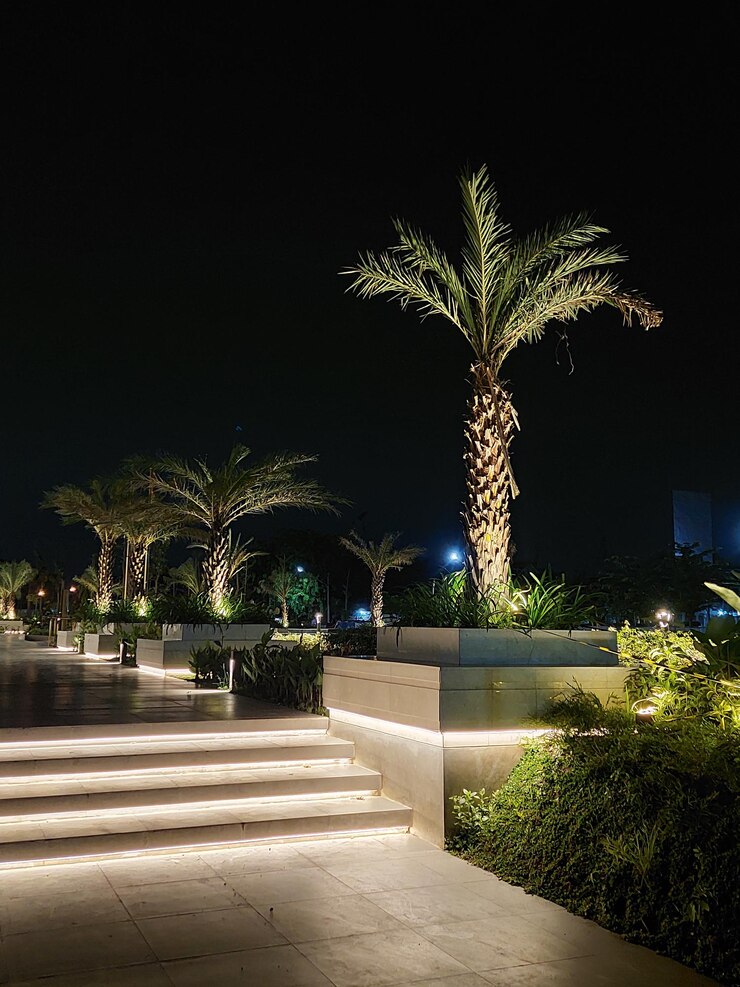 palmeras al lado de las escaleras con luces por la noche