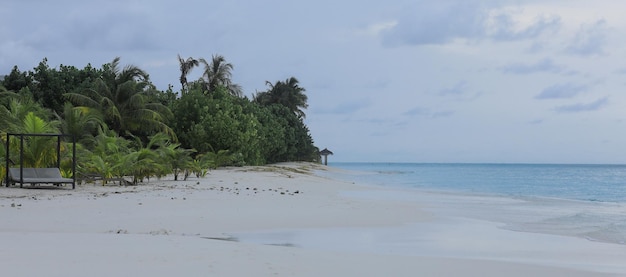 palmeras en arena blanca en una isla tropical