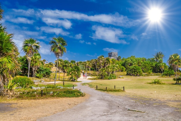 Palmeras cerca de las ruinas mayas de gran plataforma en Tulum Riviera Maya Yucatán Mar Caribe México