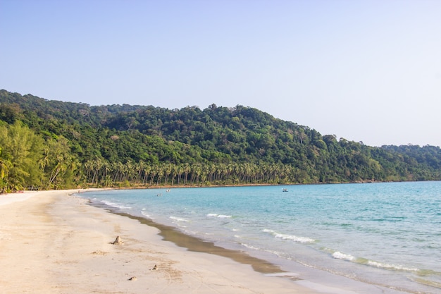 Las palmeras y el cielo brillante en la arena blanca varan en la isla Trat, Tailandia de la koh koh del área del phoo del ao.