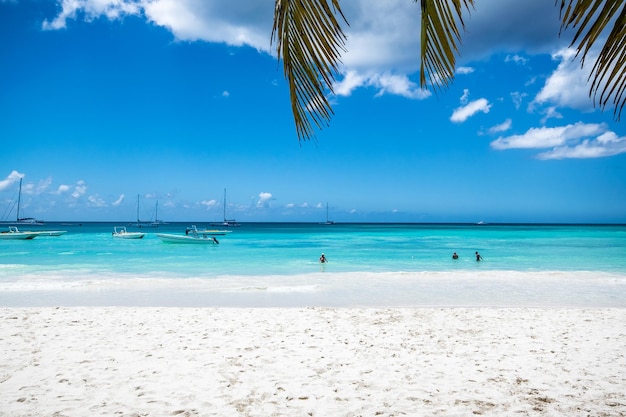 Palmeras de coco en la pintoresca playa de arena blanca en Punta Cana, República Dominicana