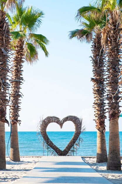 Palmeras y corazón cerca del mar. Concepto de verano