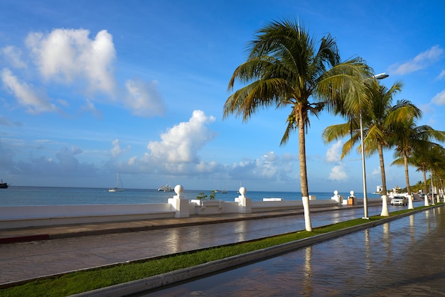 Palmeras de Cozumel Riviera Maya México