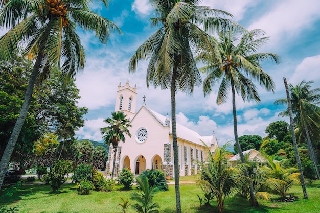 Foto palmeras y edificios contra el cielo