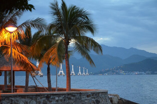 Foto palmeras junto al mar contra el cielo