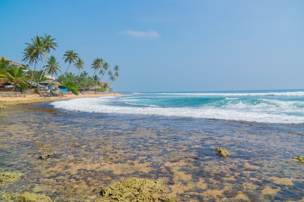 Foto palmeras en la orilla del océano índico en la playa en hikkaduwa, sri lanka.
