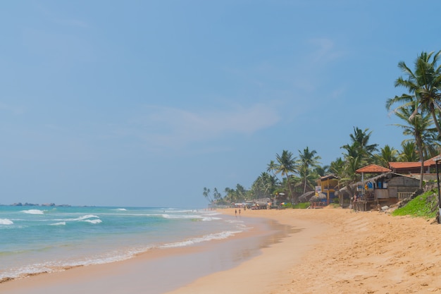 Palmeras en la orilla del Océano Índico en la playa en Hikkaduwa, Sri Lanka.