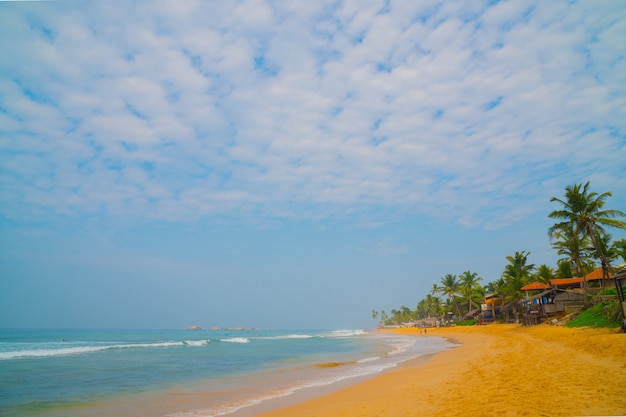 Palmeras en la orilla del Océano Índico en la playa en Hikkaduwa, Sri Lanka.