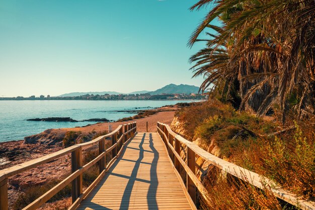 Foto palmeras en la playa paseo marítimo sinuoso a la playa mazarron murcia españa