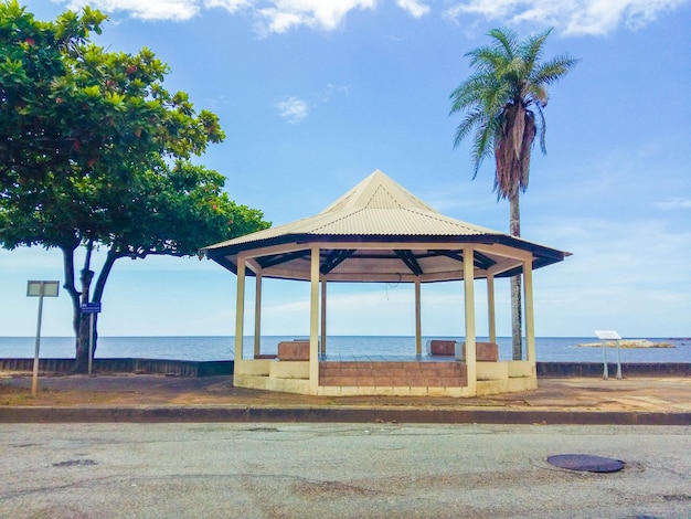 Foto palmeras en la playa