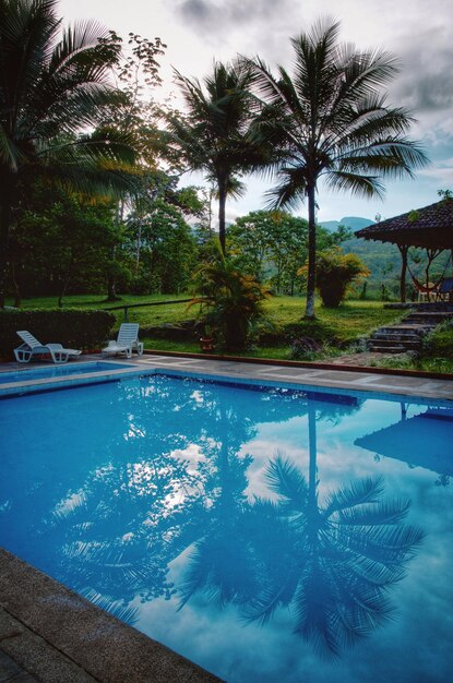 Foto las palmeras que se reflejan en la piscina