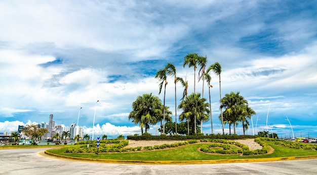 Palmeras en una rotonda en la Ciudad de Panamá, América Central