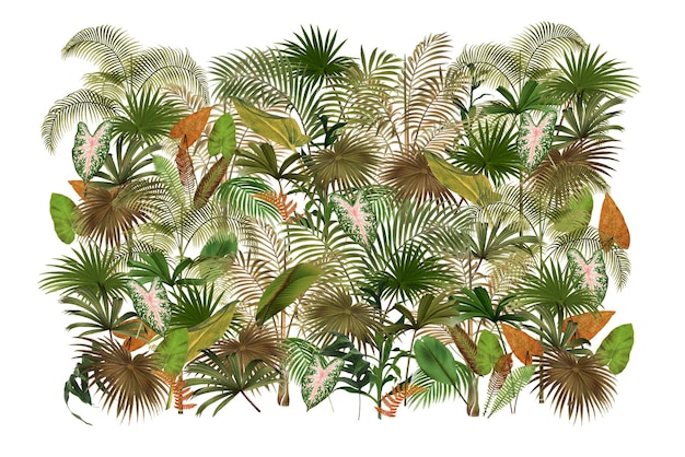 Palmeras tropicales png collage botánico de arte con fondo transparente