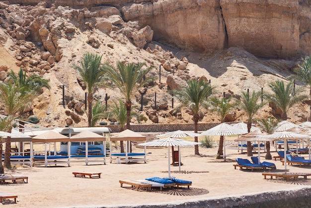 Palmeras y tumbonas vacías con sombrilla en una playa de mar. Temporada de turistas