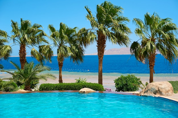 Palmeras de verano en el paseo costero con vistas al mar rojo y a la piscina, concepto de viaje