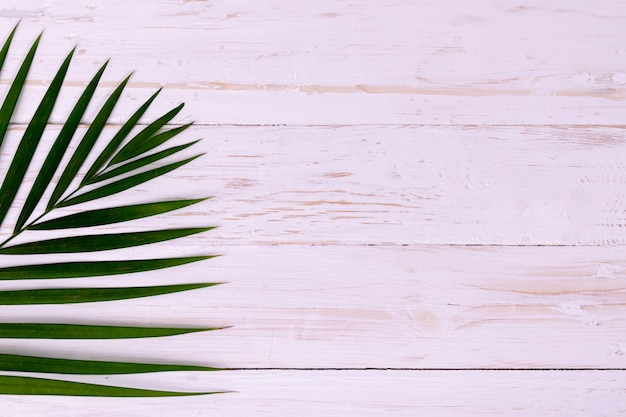 Palmkokosnussblätter auf weißem Holz