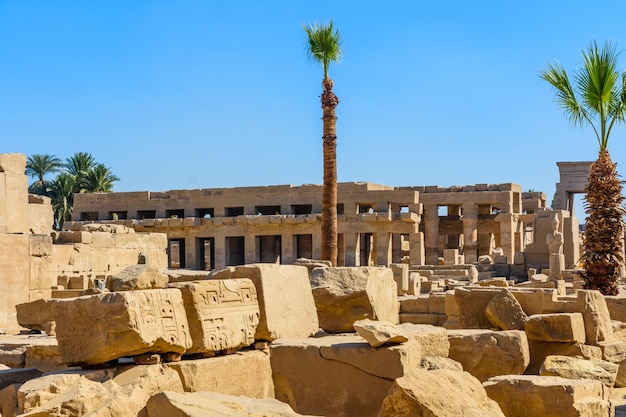 Palms em ruínas do antigo templo Karnak Luxor Egito