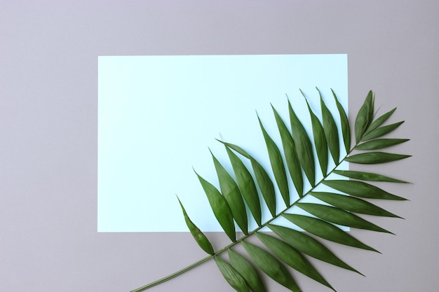 Palmzweige auf einer farbigen Hintergrunddraufsicht mit Platz für Text