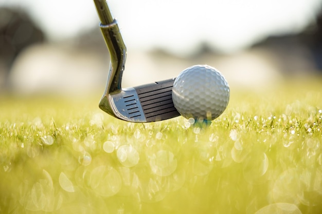 Palo de golf y pelota en el tee delante del conductor