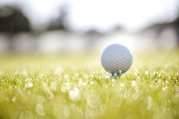 Palo de golf y pelota en el tee delante del conductor