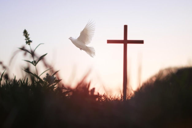 La paloma blanca del bosque al atardecer y la santa cruz de Jesucristo simbolizan el amor de la muerte y la resurrección.