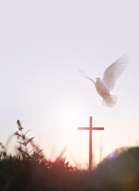 La paloma blanca del bosque al atardecer y la santa cruz de Jesucristo simbolizan el amor de la muerte y la resurrección.