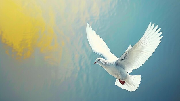 una paloma blanca volando en el cielo con el sol detrás de ella