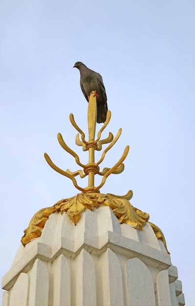 Paloma donde se posan en la parte superior decorativa del Prang en el templo budista
